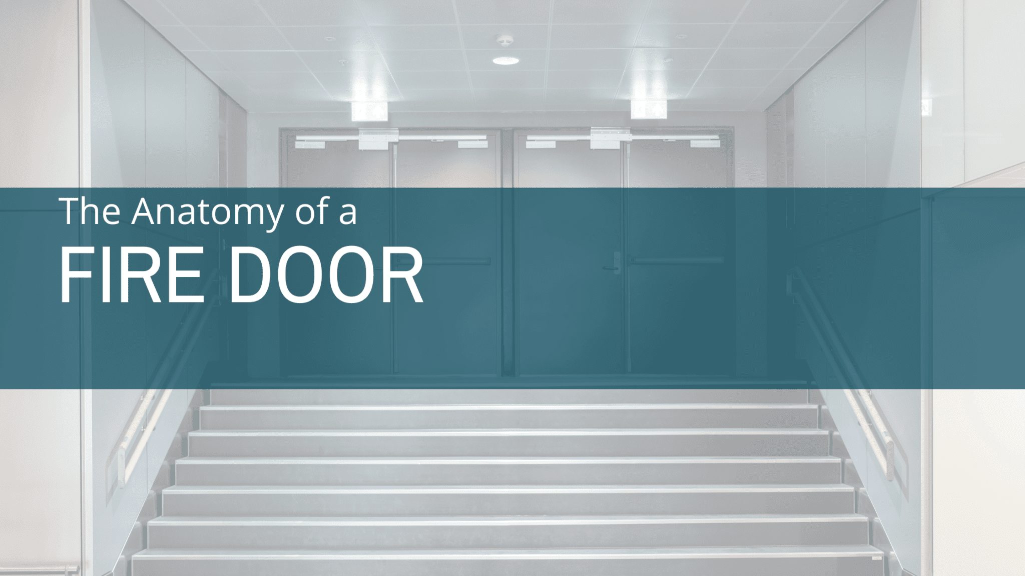 The Anatomy of a Fire Door